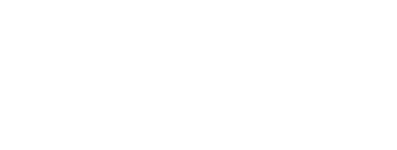 We Love Budapest Piknik