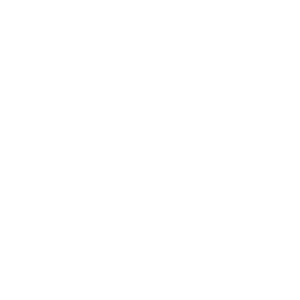 NR Dogz