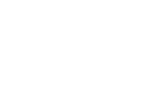 IO Partners