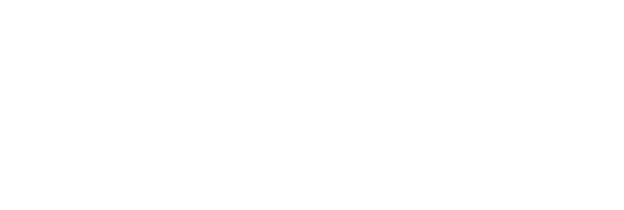 BMW Leiler