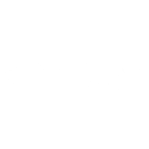 Duna House 